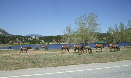 245 Colorado-Big Thompson Project