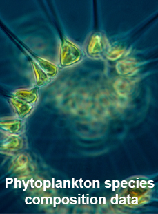 picture of Phytoplankton with text that says Phytoplankton species
 composition data