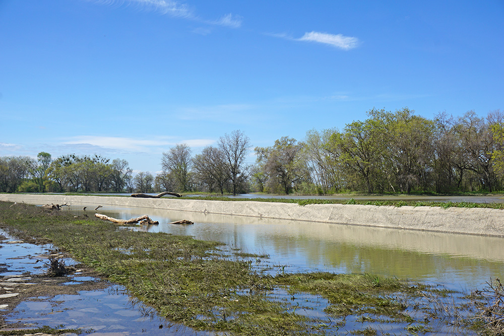 The Fremont Weir (pictured) is a 1.8-mile-long concrete structure designed to allow flow into the Yolo Bypass during high-flow. Once the Sacramento River recedes below its crest, fish are likely to become stranded in the stilling basin.
