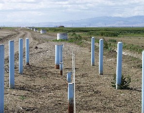 interactive image:  Groundwater levels were measured quarterly at two demonstration project sites in the San Joaquin Valley.  Shallow groundwater levels showed a declining trend in response to land retirement; click for larger photo