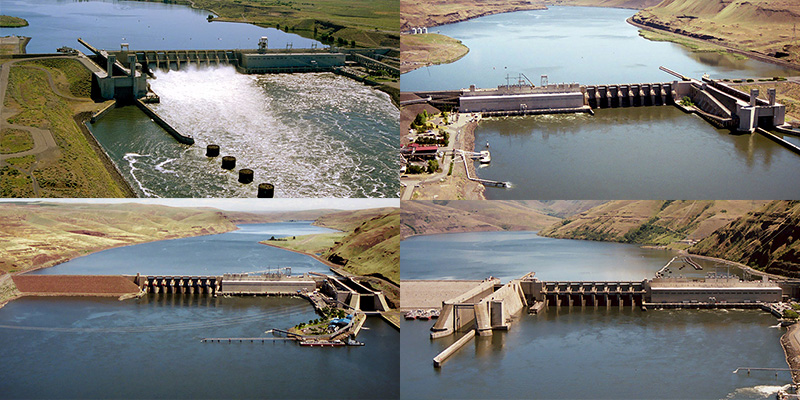 The four Lower Snake River dams: Ice Harbor, Lower Monumental, Little Goose, Lower Granite.