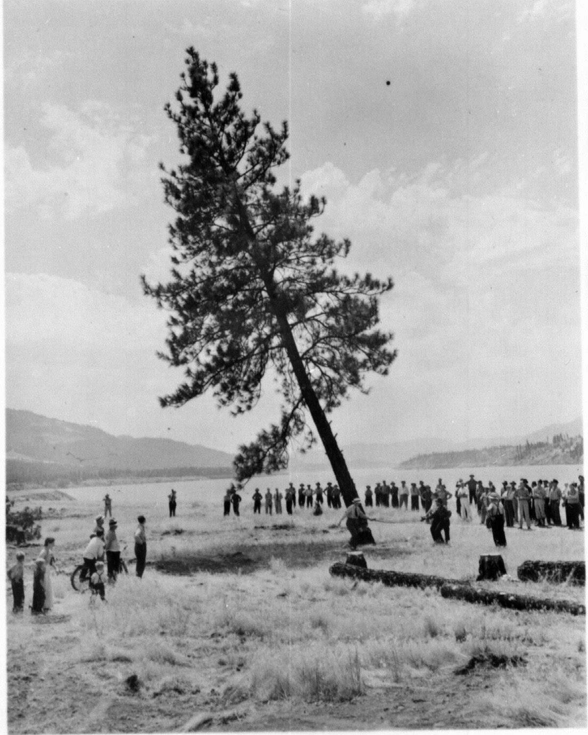 July 19, 1941. The last tree is cleared to make way for the reservoir.
