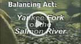 Balancing Act: Yankee Fork on the Salmon River