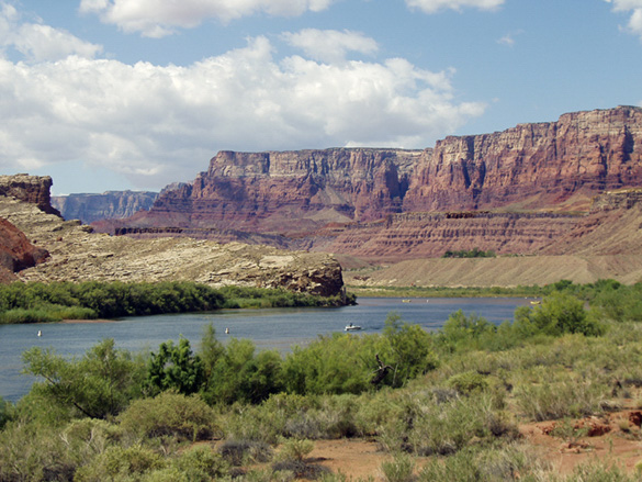 Scenic Colorado River at Lees Ferry