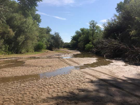 This photo taken July 12 shows drying in the Middle Rio Grande's San Acacia Reach near Socorro, New Mexico. 