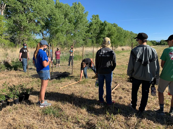 Ruben Galven wearing a black shirt, places tree caging materials on the ground while a group of around 10 volunteers circle around to watch.