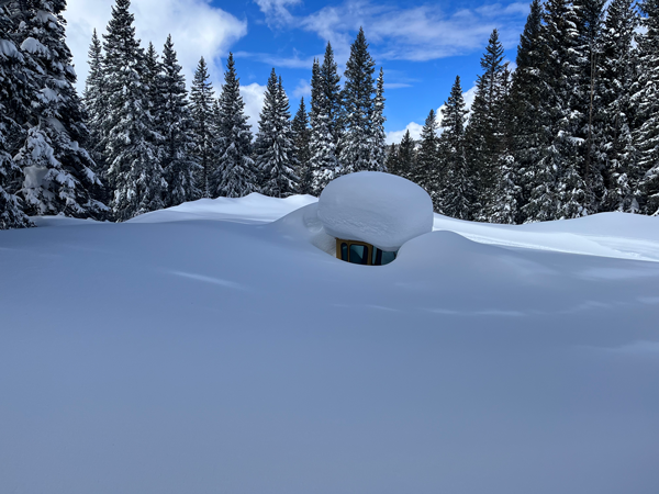 White snow with pine trees and blue sky in the background.  In the middle of the photo is the top of a yellow road grader with snow piled on top of the cab like a hat.